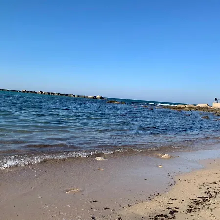Divi